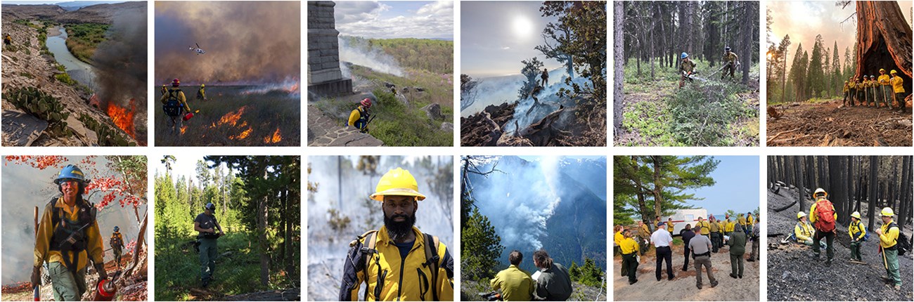 A collage of images of firefighters and areas that fire management personnel work across the country.