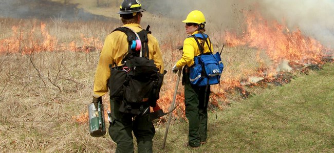 Wildland Fire: Fireline Construction (U.S. National Park Service)