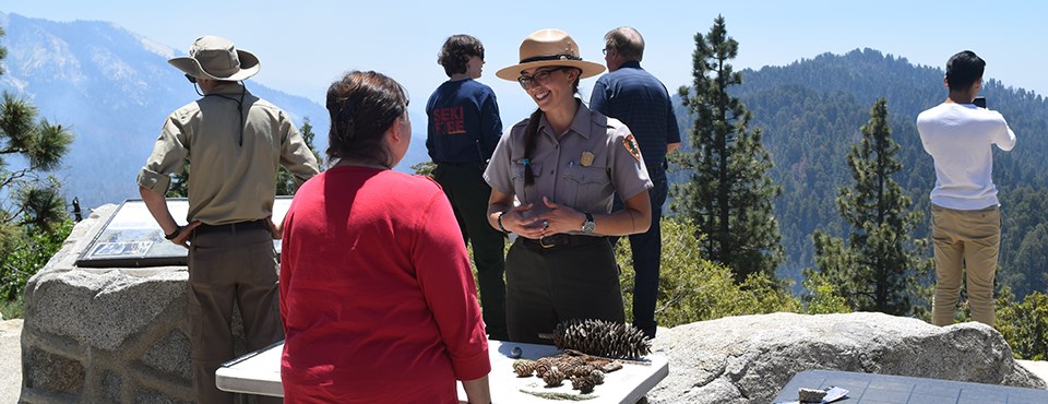 A ranger speaks to a visitor near a table with pine cones.