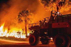 The glow of fire burning ground vegetation lights up the area to show a buggy and palm trees.