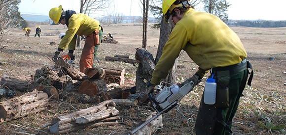 lt= Two men in Nomex flame-resistant clothing and protective equipment use chainsaws to cut logs while other crew members work in the distance.