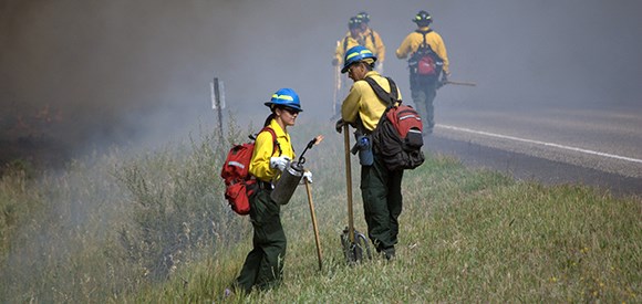 Firefighter with drip torch walks toward road with other firefighters observing nearby.