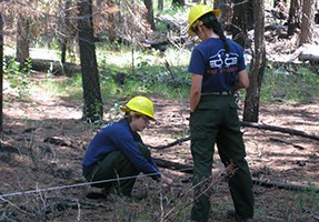 A fire ecologist takes a sample along a transect while another ecologist observes.