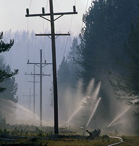 Sprinklers along a powerline wet down forest on either side of the power poles.