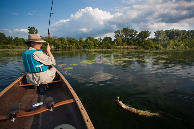 a woman reels a large fish in from her canoe