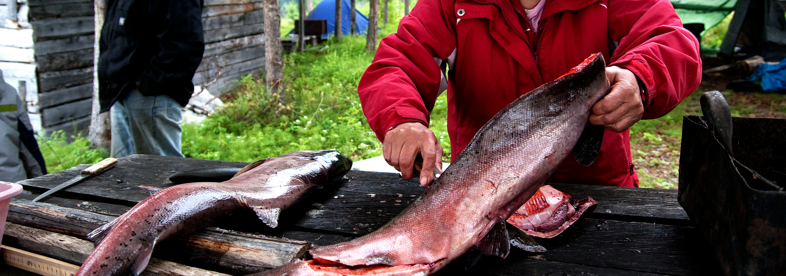 A woman cleans a fish.