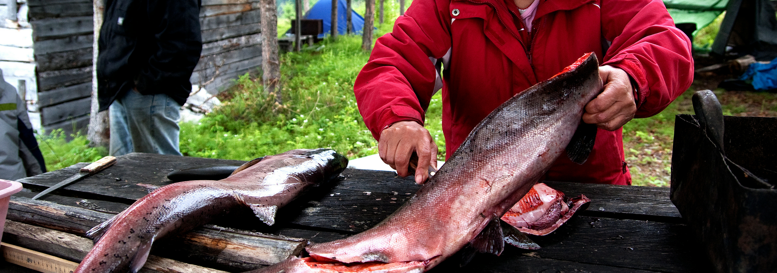 Fish Consumption Advisories - Fish & Fishing (U.S. National Park Service)