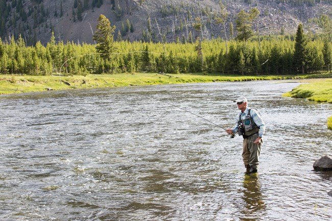 A man fly fishes in a river