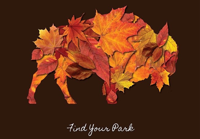 Find Your Park Autumn Bison 2 Illustration of a bison made of tree leaves with text reading "Find Your Park"
