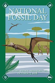 nfd 2018 artwork 180 wide national fossil day poster with pterosaur flying