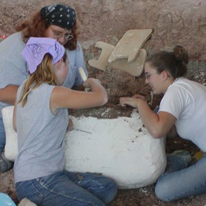 Paleo work paleontologists working on fossil