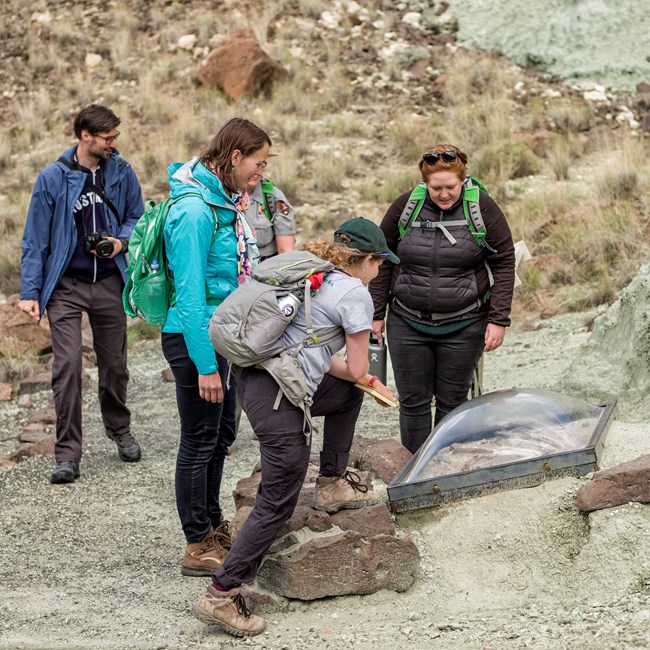 20180610_105502_50.0 mm_GOHRKE-2 Photo of people looking at a trail side fossil exhibit.