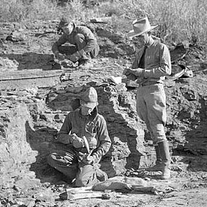 People working in fossil quarry