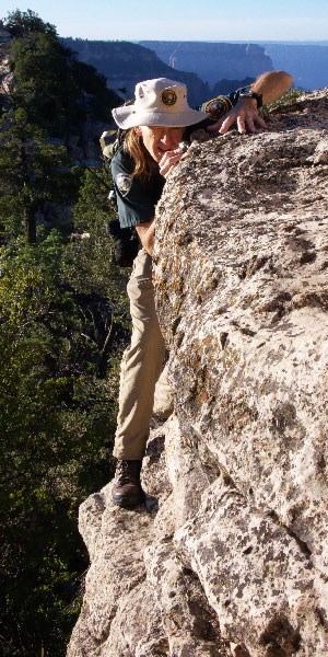 person examining rock