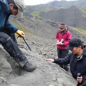 people looking for fossils