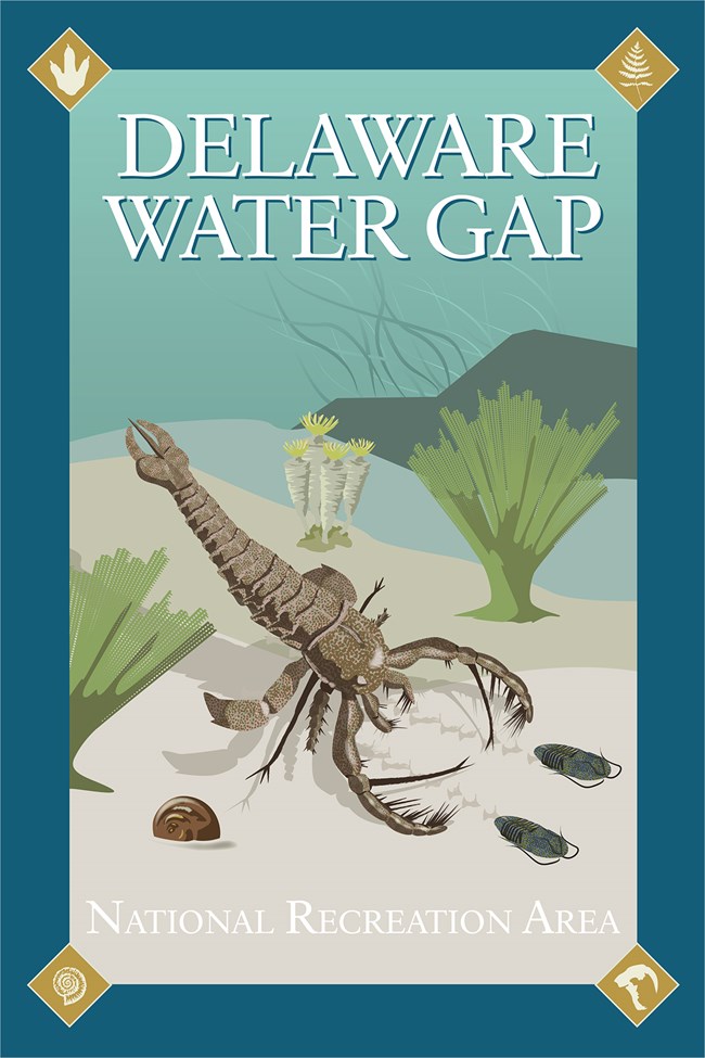 Art poster with marine animal.