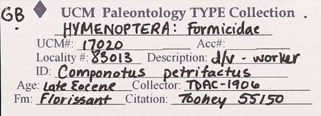 FLFO Picture22 Copy of a fossil specimen tag.