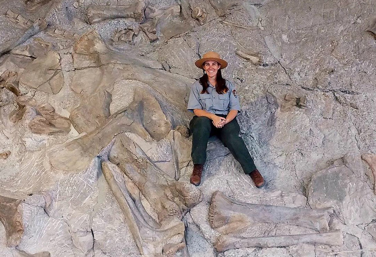 ranger sitting on the quarry face with exposed dinosaur bones