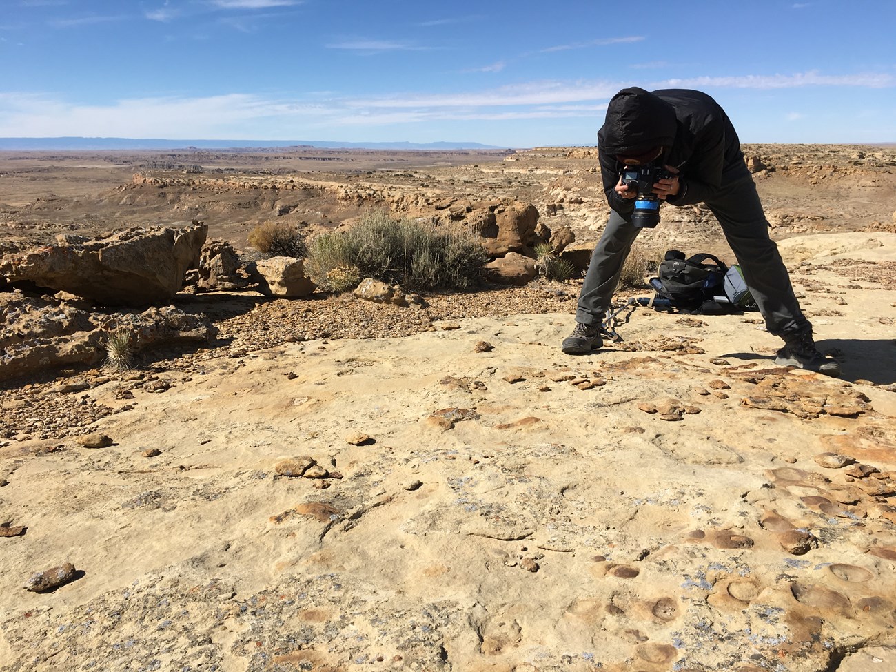 On a sandstone mesa, a person bends over while taking a picture of a fossil on the ground.