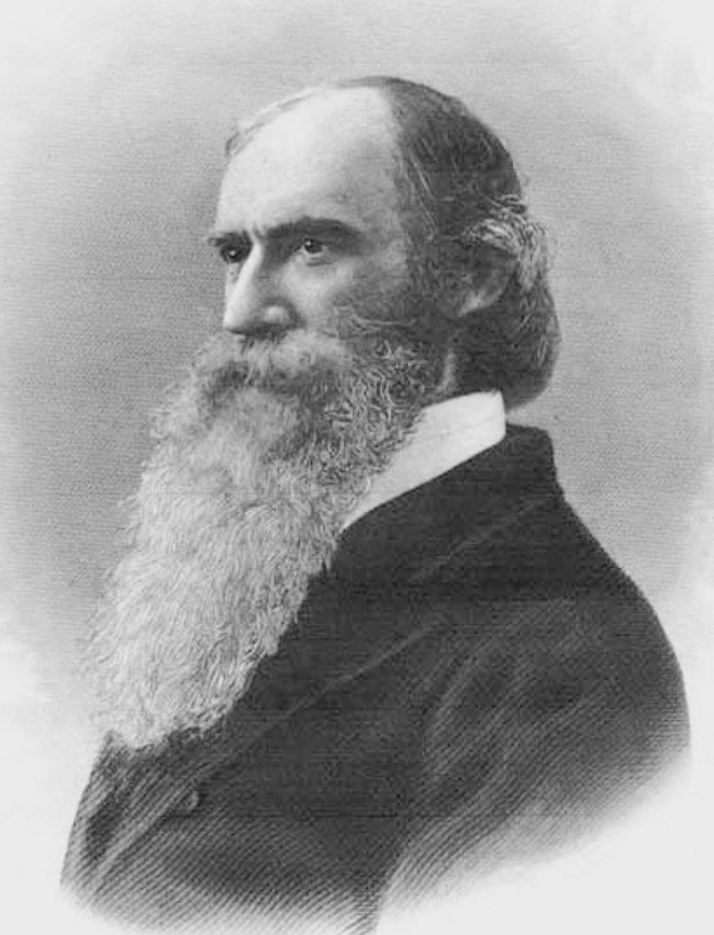 bearded man portrait