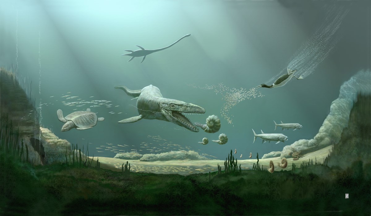 Life under the Cretaceous sea was dynamic and diverse.