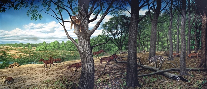 Artwork mural of prehistoric animals at the edge of a forest