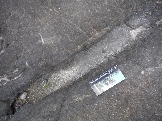 Photo of an inprint fossil in lava.