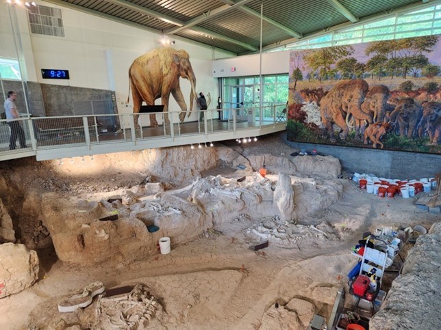 WACO web Picture 3 Photo of the inside of a visitor center with a quarry and murals.
