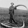 person with fossil mammoth tusks