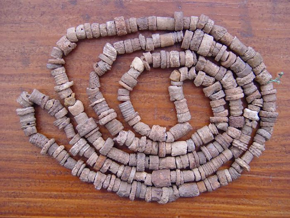 fossil crinoid bead necklace