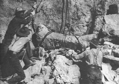 collecting dinosaur bone 1915