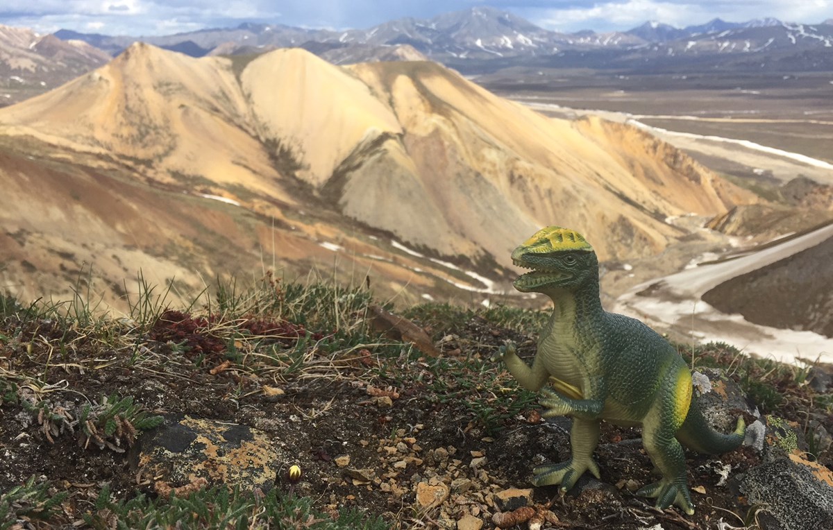 toy dinosaur on the ground with mountains and snow in the distance