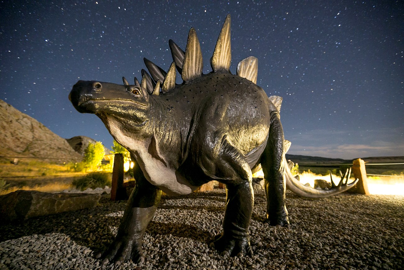 Where Dinosaurs Roamed - Fossils and Paleontology (U.S. National