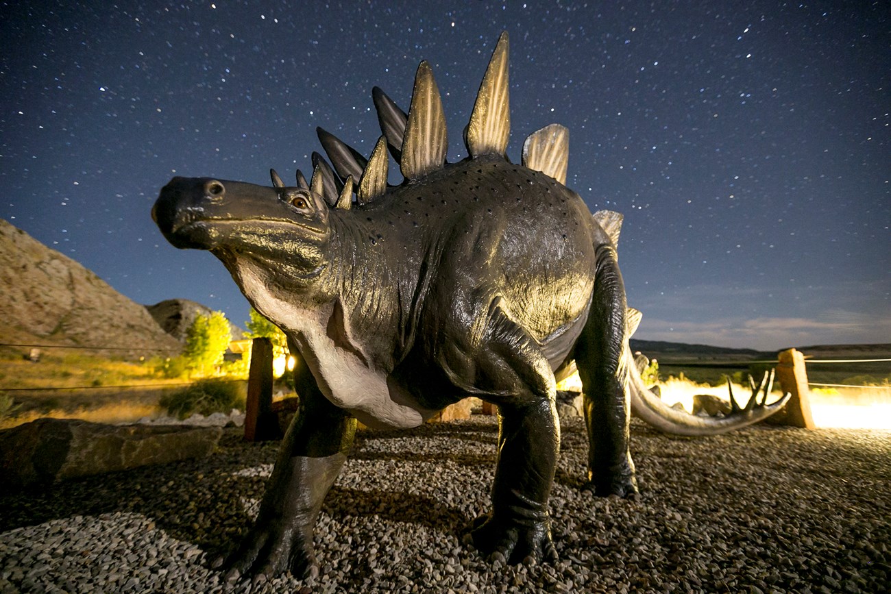 stegosaurus statue under a starry night sky