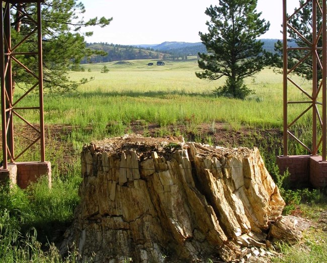 flfo F0A7AA00-155D-451F-6701917DAD10627BHiResProxy View of Florissant valley through a shelter that covers a petrified redwood