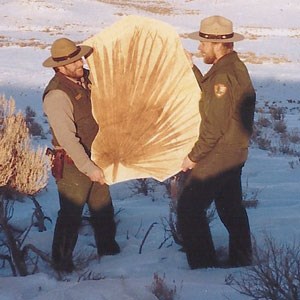 rangers holding large palm frond fossil