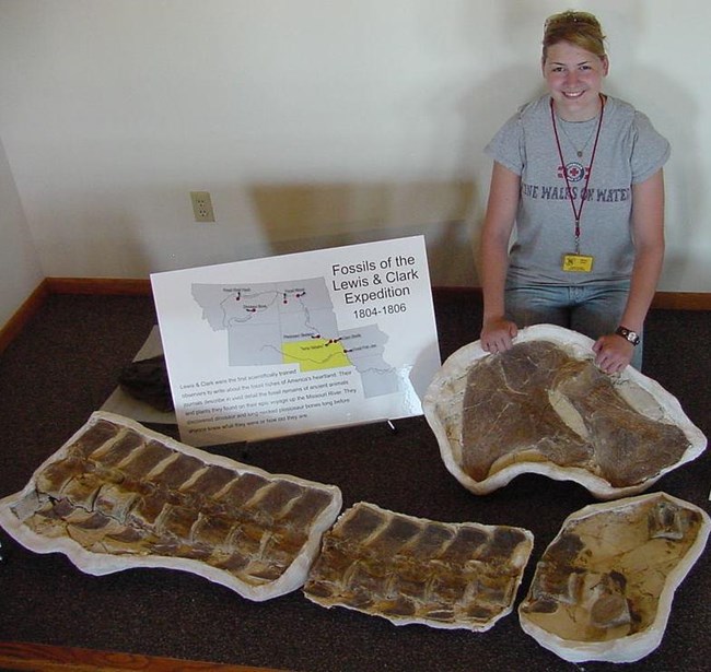person standing at fossil display table