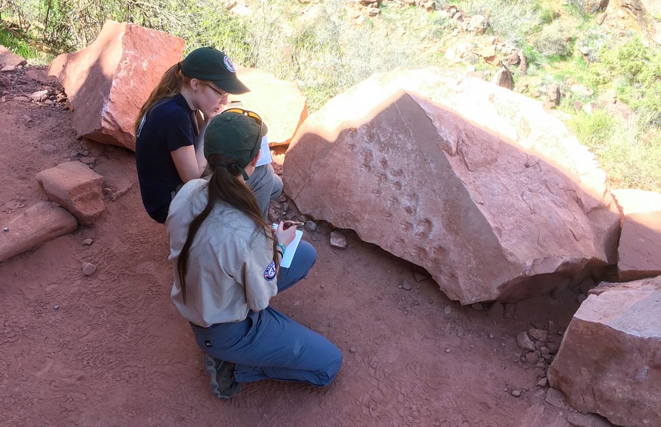 two people examine fossil tracks on trail side boulder