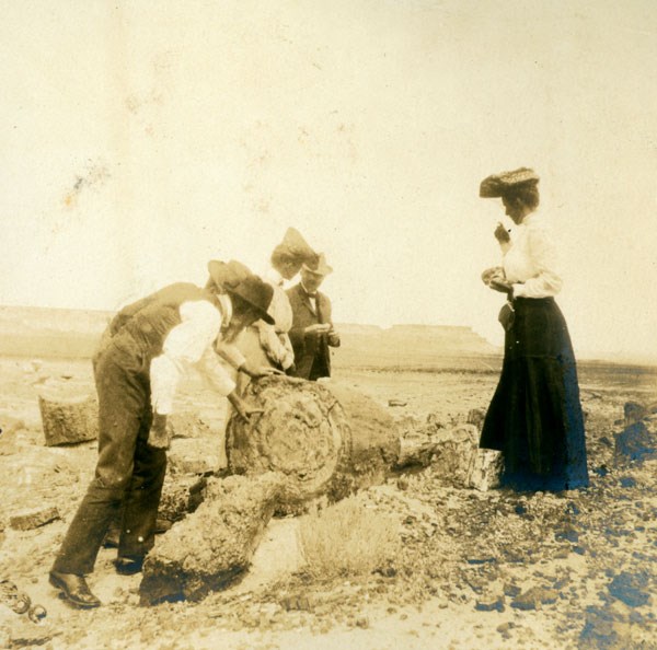 group of people with petrified logs
