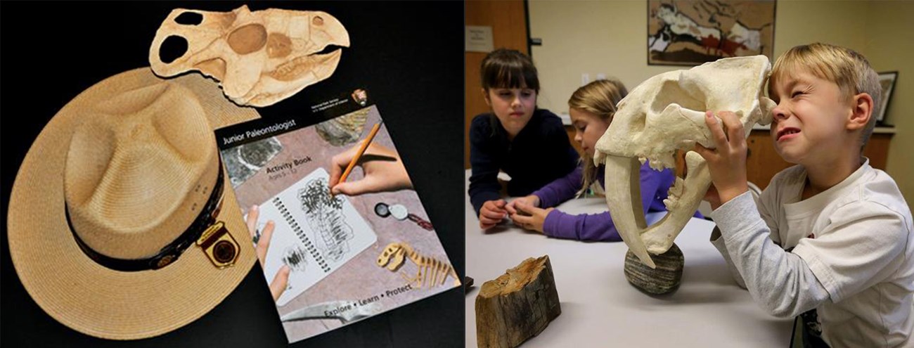 junior paleontologists