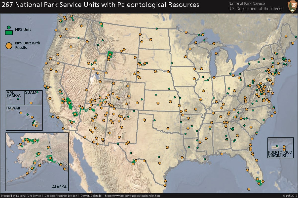 fossil parks list - fossils and paleontology (u.s. national park