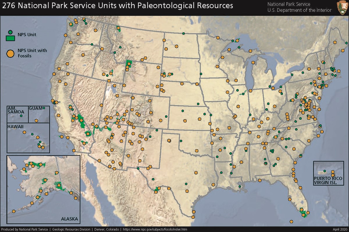 Fossil Parks List - Fossils and Paleontology (U.S. National Park Service)