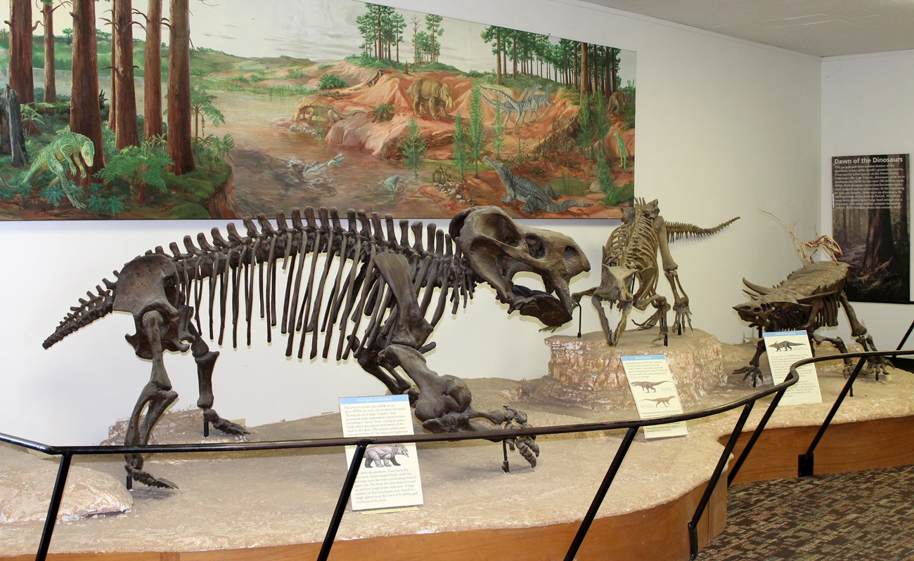 Giant reptile skeletons in a visitor center diorama