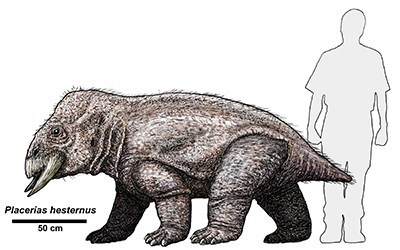 drawing of a prehistoric hippo-like animal with an outline of a human for comparison