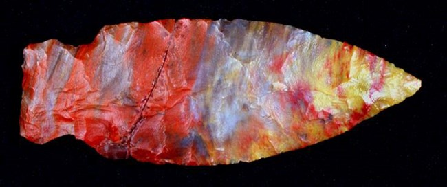 projectile point petrified wood