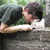 person examining rock structure