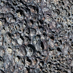 Photo of the pitted surface of lava rock.