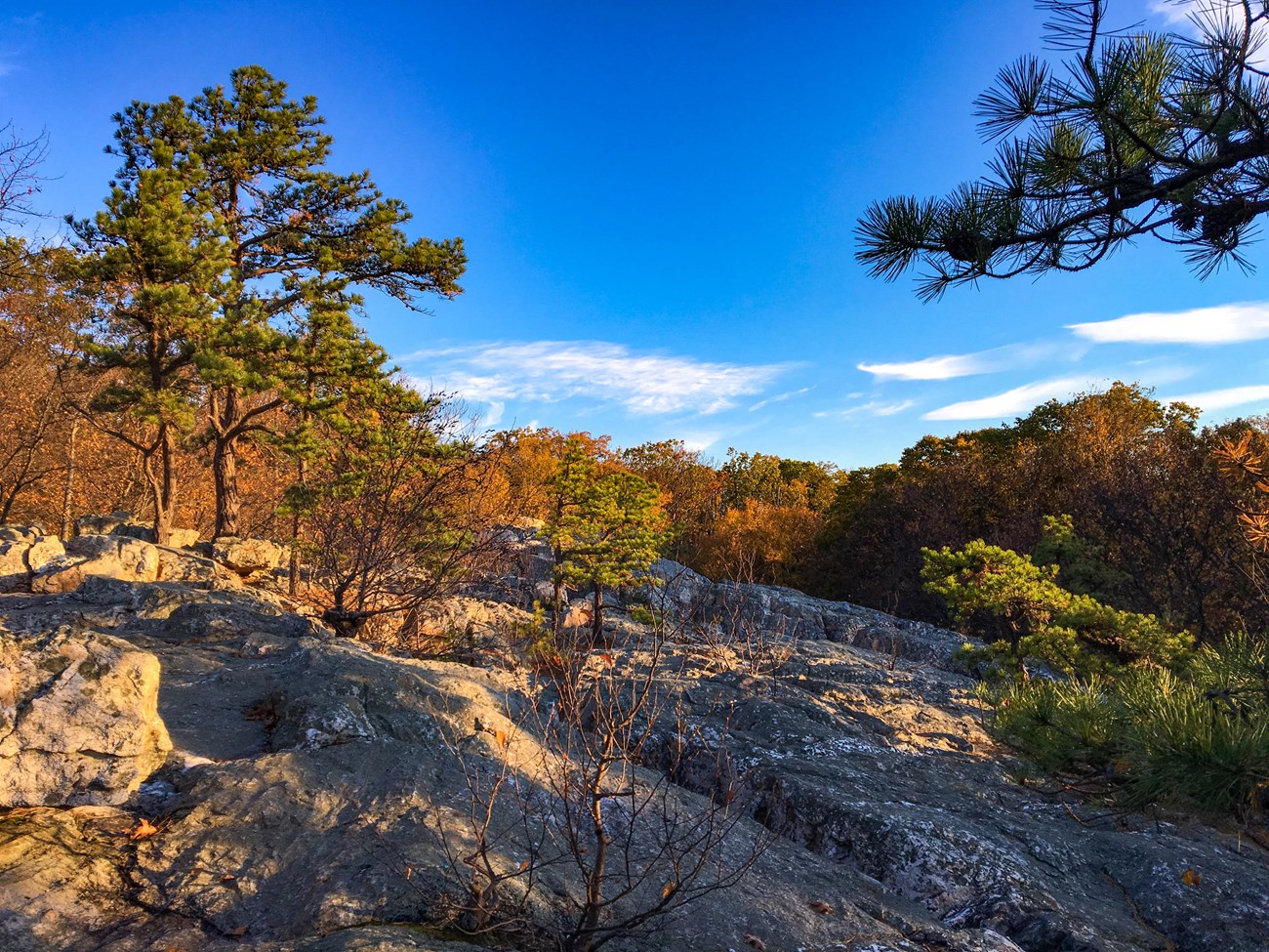 CATO NCRN Rock outcrop with trees and shrubs growing in its crevices