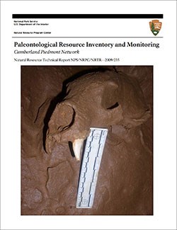 thumbnail image of the cover of a geologic report