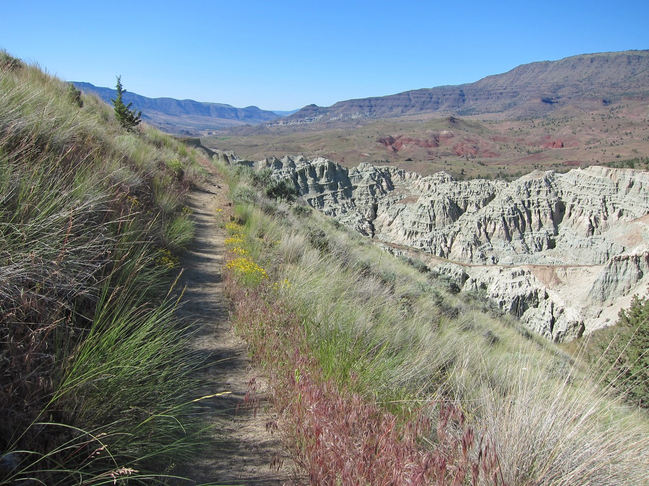 Photo of a single track trail winds along a cliff with views of colorful rocks